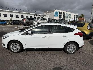 Ford Focus MOTOR ??? picture 5