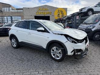 Avarii autoturisme Opel Grandland 1.2I TURBO AUTOMAT 2019/9