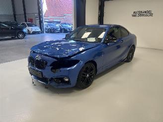 BMW 2-serie M-PACK picture 6