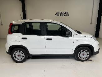 Fiat Panda LIMITED picture 2