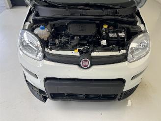 Fiat Panda LIMITED picture 9