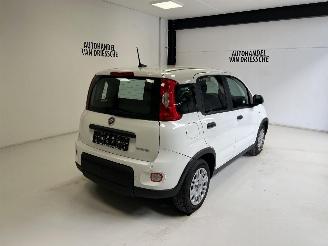 Fiat Panda LIMITED picture 3