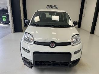 Fiat Panda LIMITED picture 7