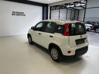 Fiat Panda LIMITED picture 5