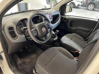 Fiat Panda LIMITED picture 13