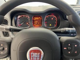 Fiat Panda LIMITED picture 14