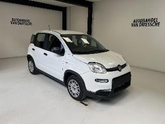 Schadeauto Fiat Panda LIMITED 2024/6