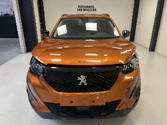Peugeot 2008  picture 8