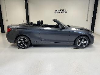 Auto incidentate BMW 2-serie SPORTLINE AUTOMAAT 2019/3
