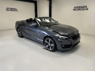 damaged passenger cars BMW 2-serie SPORTLINE AUTOMAAT 2019/3
