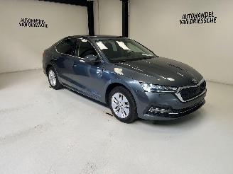  Skoda Octavia AMBITION 2021/2