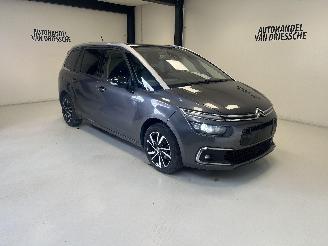 Avarii autoturisme Citroën C4 7 PLACE/ AUTOMAAT 2021/6