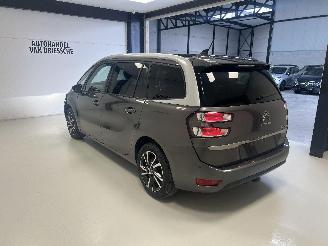 Citroën C4 7 PLACE/ AUTOMAAT picture 6