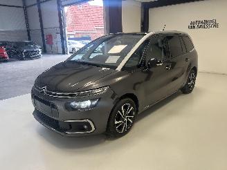 Citroën C4 7 PLACE/ AUTOMAAT picture 7