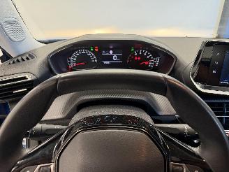 Peugeot 2008  picture 14