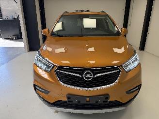 Opel Mokka COSMO picture 10