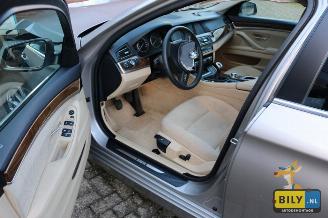 BMW 5-serie F10 520D ed picture 6