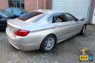 BMW 5-serie F10 520D ed picture 2