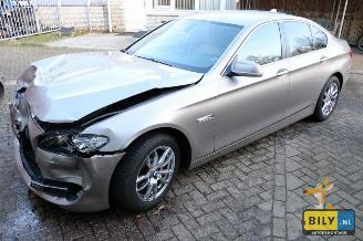 BMW 5-serie F10 520D ed picture 5