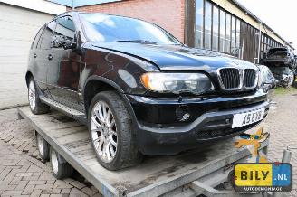 BMW X5 X5 E53 3.0d automaat picture 2