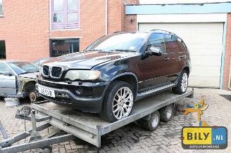 rozbiórka samochody osobowe BMW X5 X5 E53 3.0d automaat 2001/6