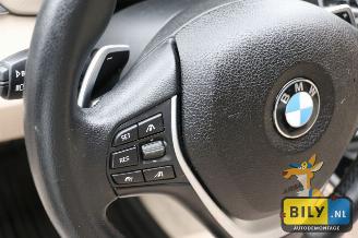 BMW 3-serie F30 320d picture 19