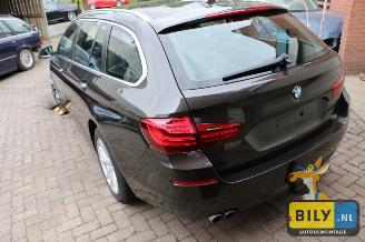 BMW 5-serie F11 520dX picture 4