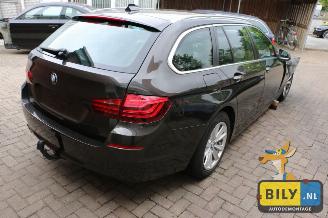 BMW 5-serie F11 520dX picture 3