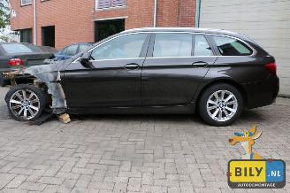 BMW 5-serie F11 520dX picture 5