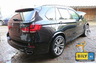 BMW X5 F15 3.0D X-drive picture 2