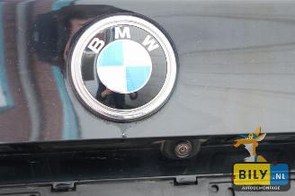 BMW X5 F15 3.0D X-drive picture 30