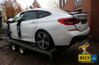 BMW 6-serie G32 3.0dX picture 3