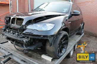 BMW X5 E70 X5 M picture 2