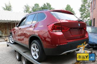 BMW X1 E84 2.0D picture 2