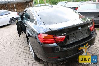 BMW 4-serie F36 420 dX picture 3