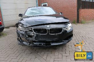 BMW 4-serie F36 420 dX picture 23
