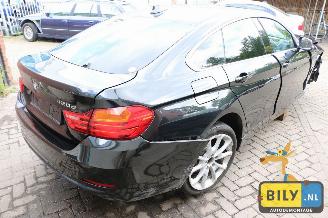 BMW 4-serie F36 420 dX picture 4