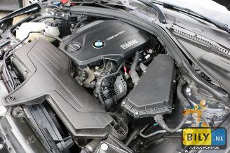BMW 4-serie F36 420 dX picture 8