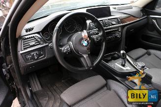 BMW 4-serie F36 420 dX picture 12