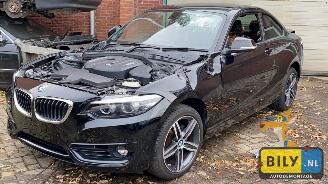 skadebil auto BMW  F22 218i 2018/9