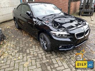 BMW  F22 218i picture 2