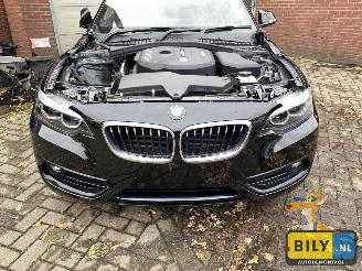 BMW  F22 218i picture 12