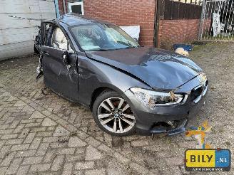 BMW 1-serie F20 118I N13 mineral-grau metallic picture 2