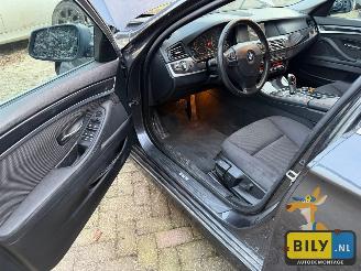 BMW 5-serie F11 1 520D N47  sophisto-grau Brillanteffekt metallic picture 16