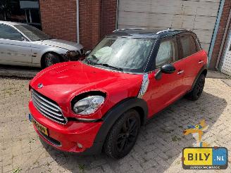  Mini Countryman  2011/1