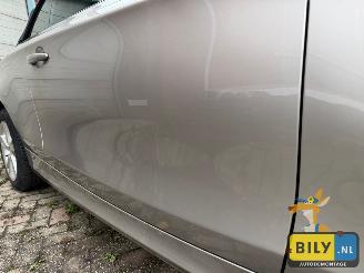 BMW 1-serie BMW E88 118i N43 kaschmir-silver metallic picture 6