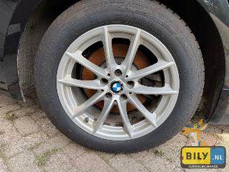 BMW 5-serie BMW G30 520D B47 black sapphire metallic picture 19