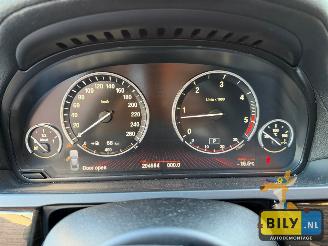 BMW 7-serie BMW F01 730D N57 titanzilver metallic picture 18