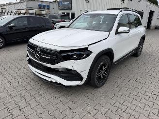 škoda osobní automobily Mercedes EQB 250 Amg-Line / elektro 2023/8