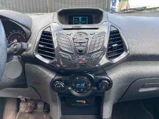 Ford EcoSport 1.0 picture 27